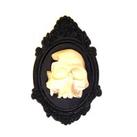 Three Dimensional Skull Frame Brooch